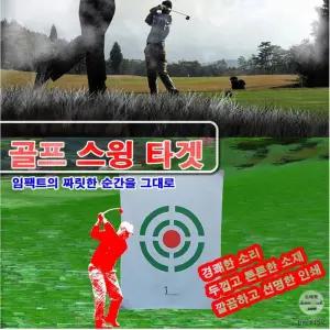 골프스윙타겟x1개 109x130cm 골프타켓 연습용골프타켓