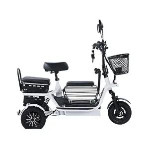 에코볼트 세발전기자전거 삼륜 전동 세발 자전거 3인승