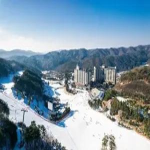 [강원 호텔] 오크밸리리조트 힐스빌리지 (원주)