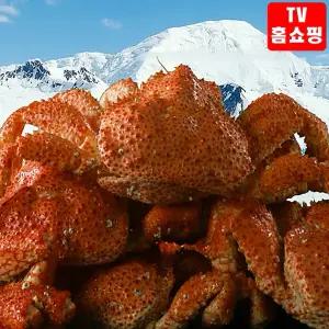 TV정품 한농식 스노우 레드크랩 400g x 3마리 집에서즐기는 킹크랩
