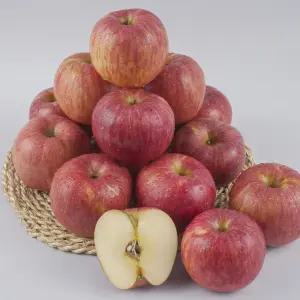 가정용 부사사과 4kg(20과내외)/중과