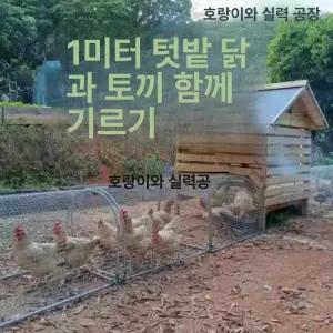 야외 닭 사육장 이동식 닭장 터널형 우리 가축 사육용  외부모이통 이동장
