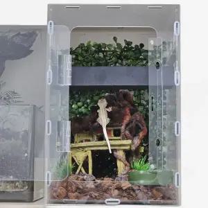 크레스티드 게코 깊은숲 사육장 도마뱀 키우기 크레 사육장