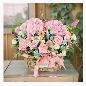 임신 축하꽃 프리저브드 드라이 플라워 보존화 혼합색상 꽃바구니