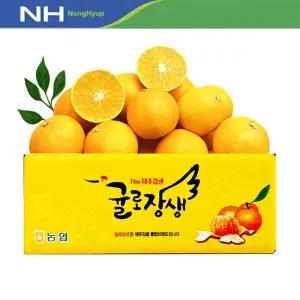 귤로장생 고당도 황금향 4kg