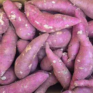 [흙이음] 세척 꿀밤고구마 5kg