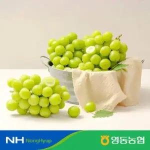 [2025 햇 농협]영동 메이빌 샤인머스캣 2kg*2박스(총 4kg)
