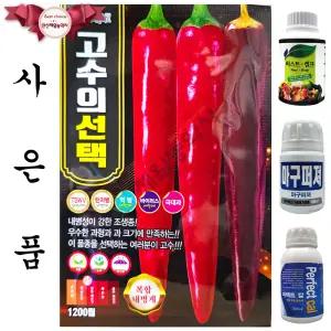 고수의선택 1200립 바른씨드 26년 고추씨앗