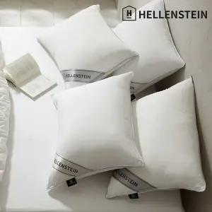 NEW업그레이드[헬렌스타인] 디럭스 다운필 베개 50x70