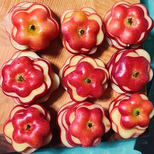 영주 별사과 1kg (정품) 별모양 닮아 작고달고 아삭한 미니사과