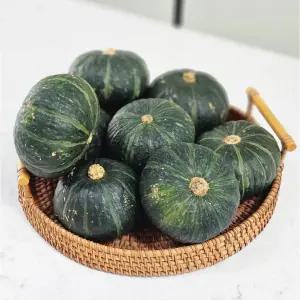 25년 달달한 제주도 미니단호박 밤호박 2, 3, 5kg