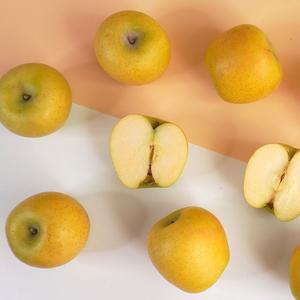 [더조은] 황금사과 시나노골드 주스용 랜덤과 10kg