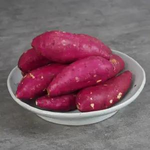 꿀밤고구마 10kg 중