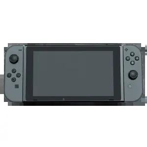 닌텐도 스위치 HAD (그레이)