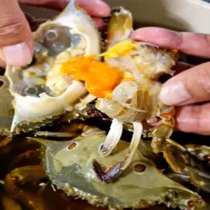 알배기 삼점 암 꽃게장 가성비 대용량 4kg