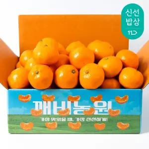 [깨비농원] 제주 조생감귤 4.5kg 중대과