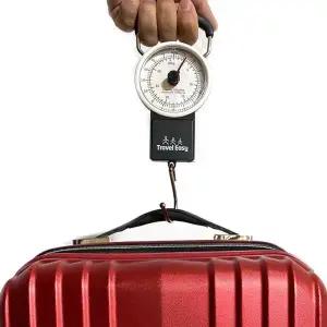TE 여행용 아날로그 손저울 WB49CDB