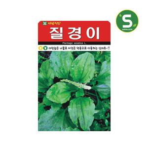 질경이씨앗 2000립 질경이 나물 약초 씨앗 재래종 다년생