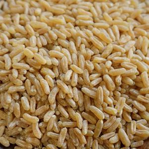 호라산밀 500g x 2봉 l 고대곡물 이집트쌀 슈퍼푸드 잡곡 l 지퍼팩 소포장