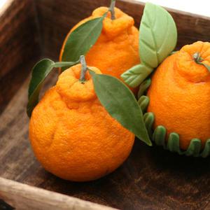 [서귀포농원] 2025년 첫수확 한라봉,천혜향,레드향 2kg,3kg 선물세트