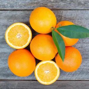 [신세계라이브쇼핑]고당도 오렌지 중과 88과(총17kg내외)