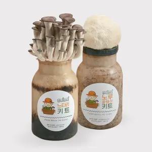 무럭무럭 느타리버섯+노루궁뎅이버섯 키우기 키트 집에서 느타리 노루궁뎅이 키우기