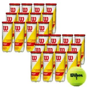 [정품] 윌슨 테니스공 챔피언쉽 엑스트라 듀티 시합구 36구