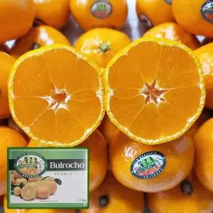 제주 명품 고당도 불로초 감귤 선물용 3kg