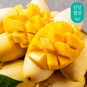 [딜픽] 항공 남독마이 태국망고 대과 8-12과(총4kg내외)