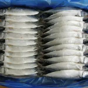 자반 고등어 24손48마리 30cm 가정용 업소용 벌크상품 대용량