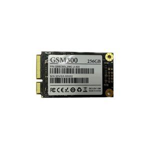 젬스톤 GSTON GSM300 mSATA (256GB)