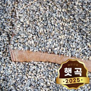 국산 검정보리쌀 500g x 2봉 l 흑 블랙보리 잡곡