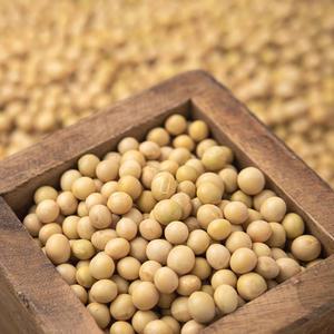 국산 백태 500g x 2봉 l 메주 콩 콩국수 두유 잡곡 l 지퍼팩 소포장