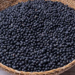 국산 서목태 약콩 500g x 2봉 l 쥐눈이콩 청약콩 검은콩 검정콩 잡곡