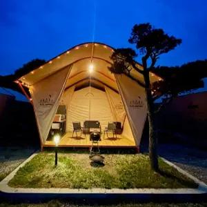 [경기] 용인대장금파크글램핑카라반(경기, 용인)