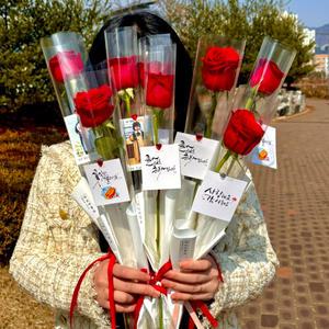 생화 캘리그라피 장미 카네이션 한송이 꽃다발