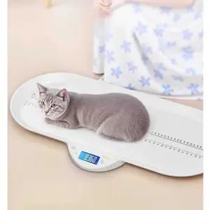 반려동물 몸무게 측정기 동물병원 반려견 체중계