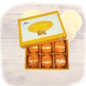 다산 감귤비누 세트 100g X 9개/세수/비누/세안/세숫비누/세면/천연/수제/감귤/다산/비누세트/선물/고급