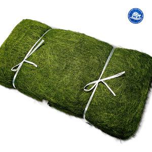 감태김(말린감태) 20장 / 중부시장도매 자연산 파래 톳 매생이 김 미역 다시마 해초류