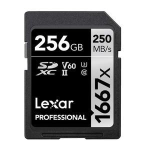 렉사*프로페셔널 1667x SD카드 256GB