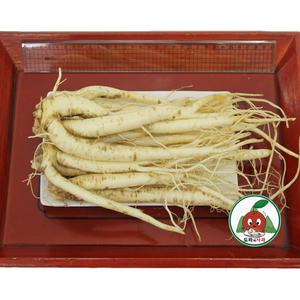 청정 영주소백산도라지 세척_약도라지1kg특상품