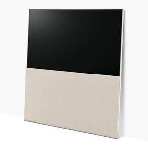 [LG] 올레드 evo 65ART90EKPA 전국무료