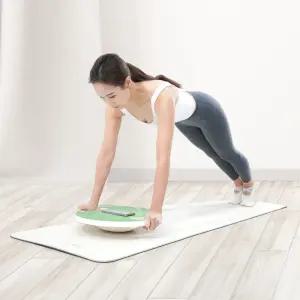 이고진 밸런스보드 논슬립 코어 근육 운동 균형 감각 홈트레닝 기구