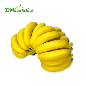 고당도 바나나 4~6kg