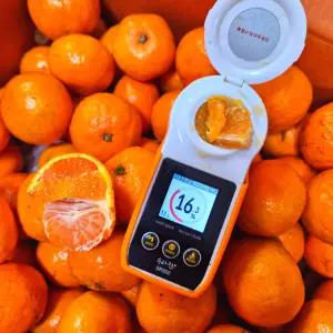 제주 고당도 하례 타이벡감귤 하례감귤 당도선별/보장/로얄과/3-5kg