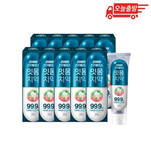 오늘출발 2080 진지발리스 치약 허벌민트 150g 10개