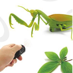 어린이날선물 초등 아들 사마귀 로봇 무선조종 장난감 애견 펫 아기 교감 키우기