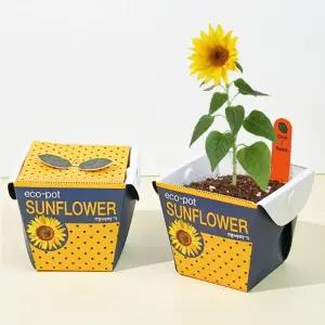 미니 화분 해바라기 씨앗 세트/텃밭/키우기/원예/실내/단체/어린이/관찰/키트/식물/꽃화분/만들기/꽃키우기