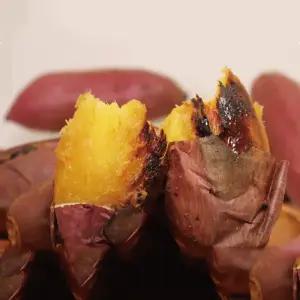 솔내농원 비세척 베니하루카(꿀고구마) 중상5kg(비세척)