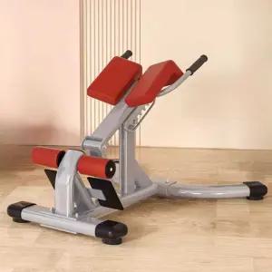 로망 체어 백익스텐션 코어 운동 홈트 복근 헬스장